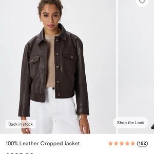 Quince Dark Brown Leather Cropped Jacket